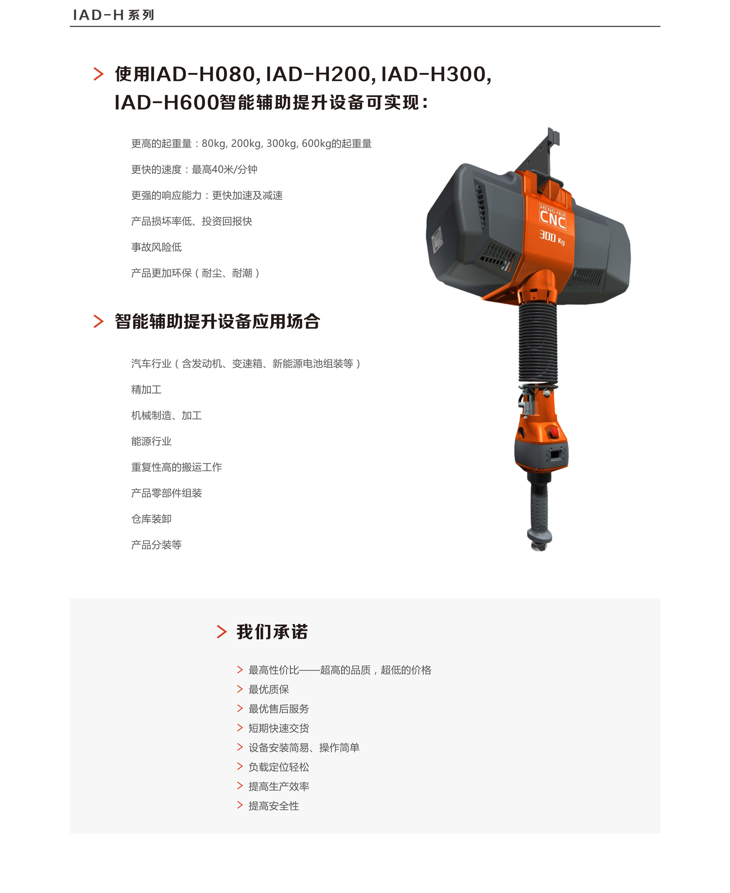 ENDO,智能,提升機,系列,標(biāo)準(zhǔn)型,ENDO,智能